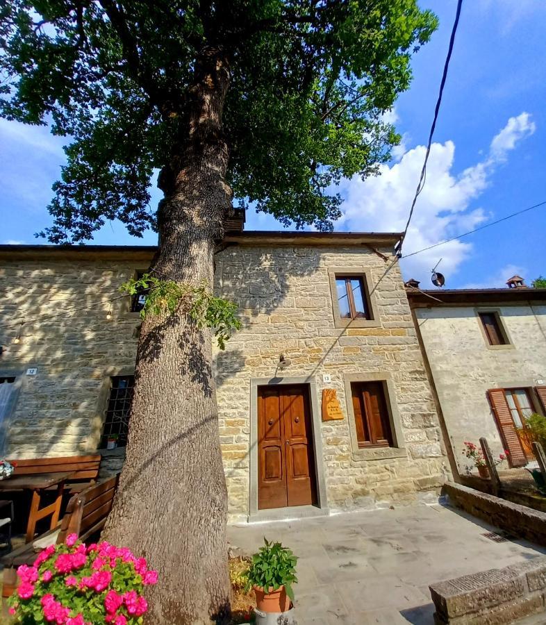 Ferienwohnung Casina La Quercia Santa Sofia Exterior foto