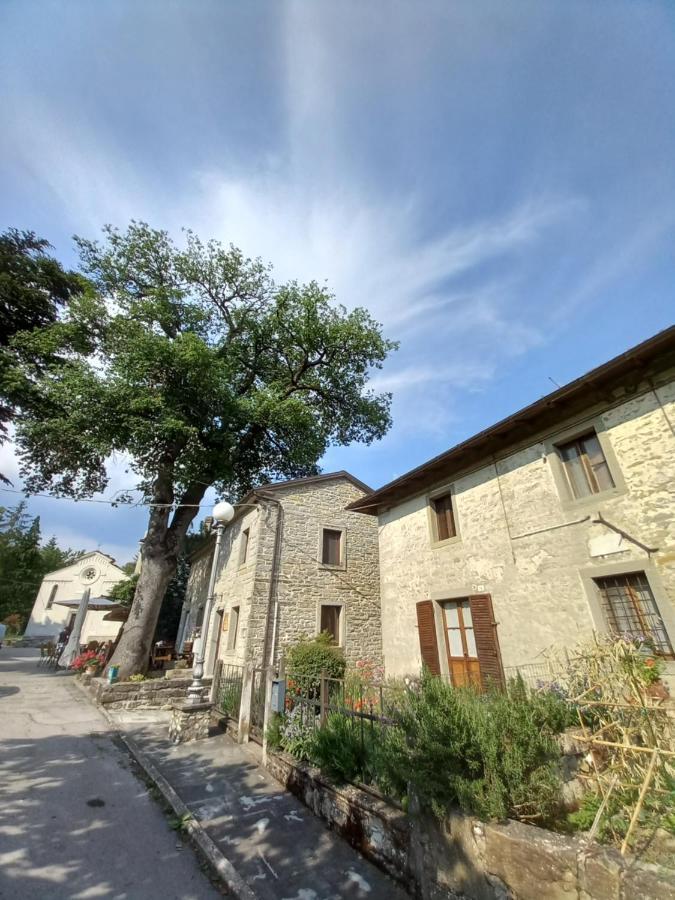 Ferienwohnung Casina La Quercia Santa Sofia Exterior foto